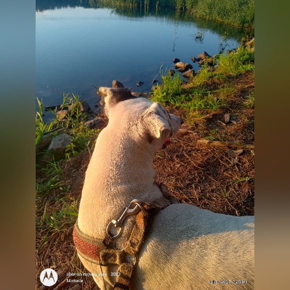 Meet your Posher, Michelle - Picture 6 of 14